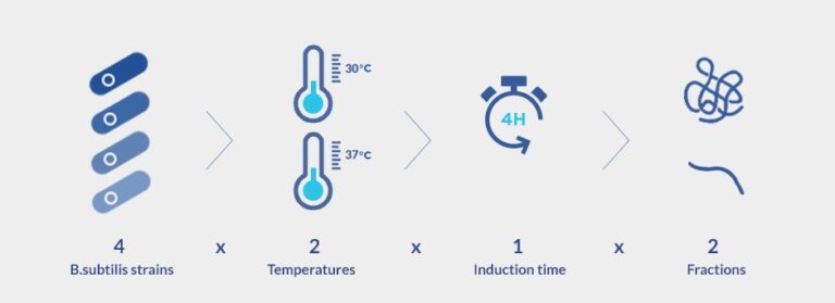 Expression tests for protein expression in B. subtilis