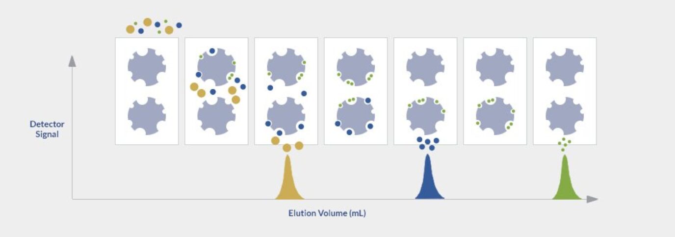 Size exclusion chromatography process