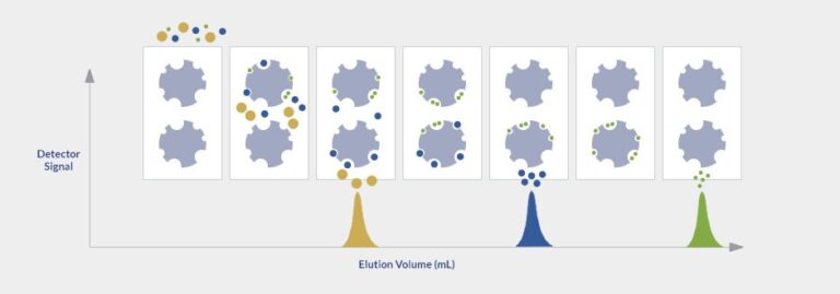 Size exclusion chromatography process