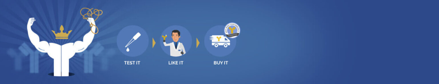 ProteoGenix社ハイブリドーマ方式モノクローナル抗体作製