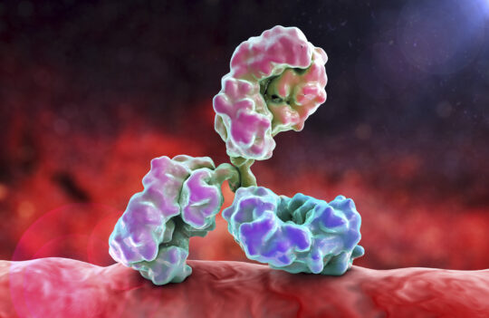 Pioneering the Development of Therapeutic Antibodies for Alzheimer’s Disease