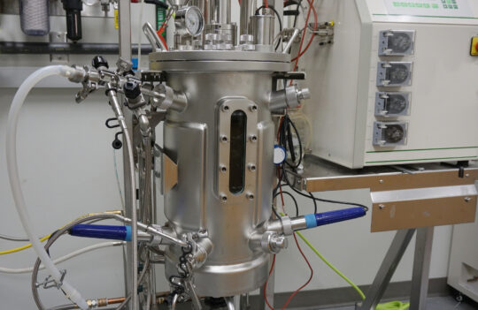 Antibody production: a complete guide