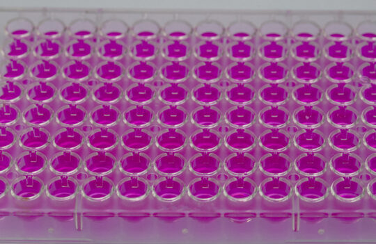 Ensuring Monoclonality in Therapeutic Antibody Production with VIPS Technology