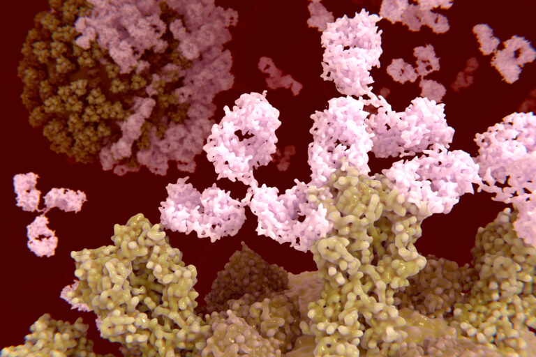 The Path of Creating an Innovative IL-17A Antibody for Autoimmune Disorders
