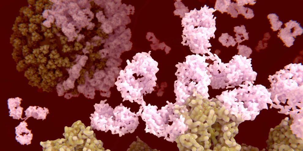 The Path of Creating an Innovative IL-17A Antibody for Autoimmune Disorders