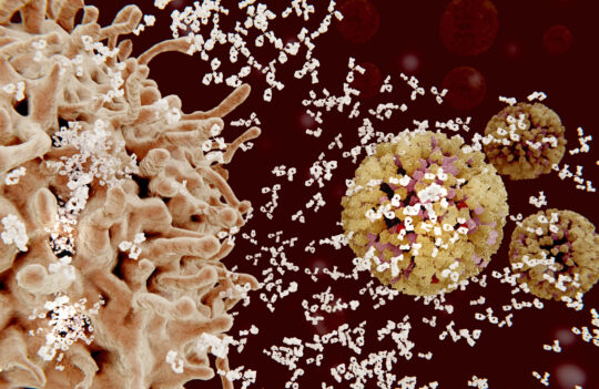 Harness the Power of Single B Cell Antibody Technologies for Advanced Antibody Development