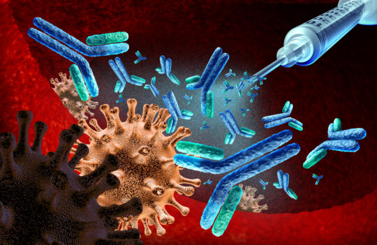 Say Goodbye to Immunogenicity: Top Strategies for Safer Therapeutic Antibodies