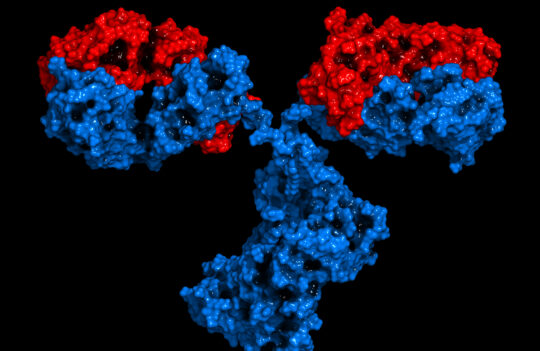 Next-Generation Antibody Discovery Enabled By NativeMP™ and Phage Display Technology