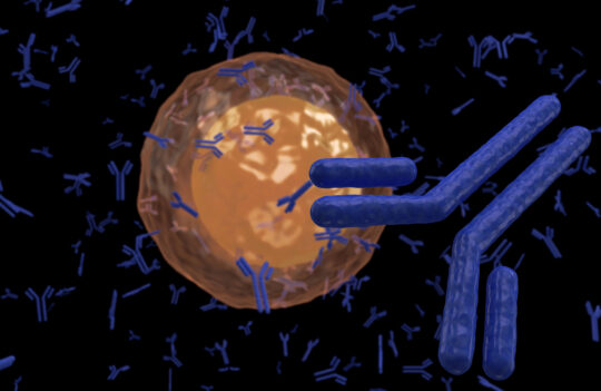 Overcoming the Hurdles of Antibody Production and Scale-Up