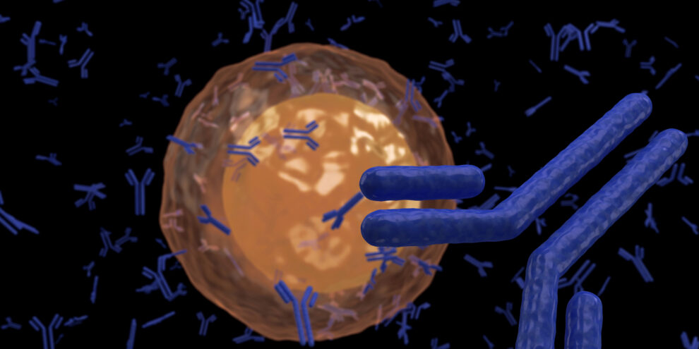 Mastering Hybridoma Technology: The Future of Monoclonal Antibodies in Research and Medicine