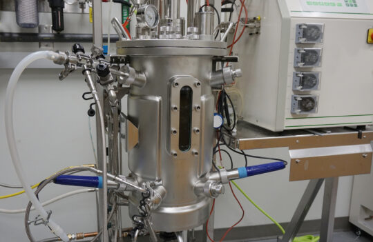 From Lab Bench to Bioreactor: Overcoming Scale-Up Challenges in Antibody Production