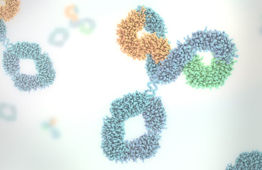 From High Yield to High Stability: Strategies for Consistent Antibody Production