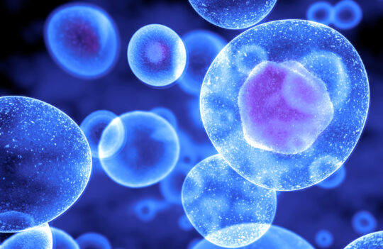 The 5 Pillars of Excellence in Stable Cell Line Development