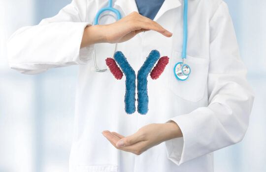 Hybridoma-based antibody development: Targeting Key Protein in Long QT Syndrome and Advancing Cardiac Research