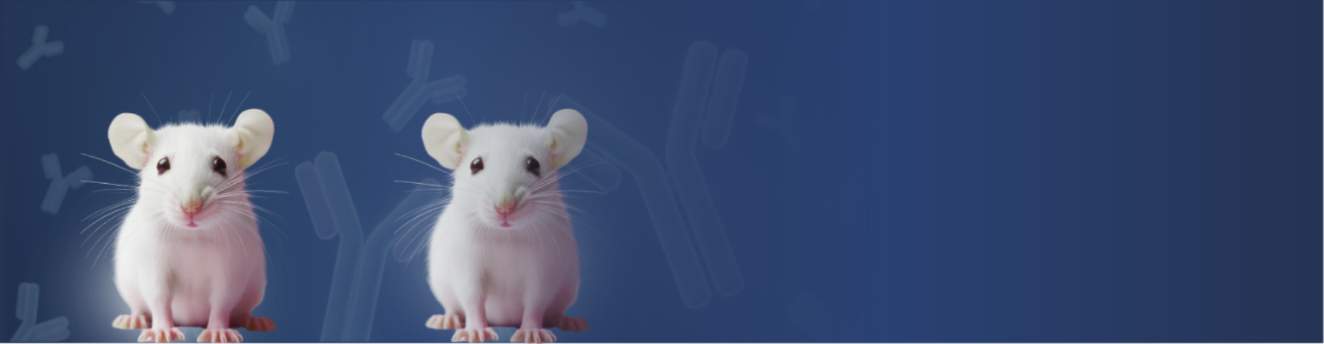 Humanized Mice Service - ProteoGenix