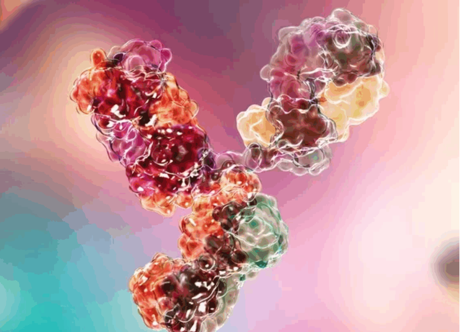 Generic antibody image