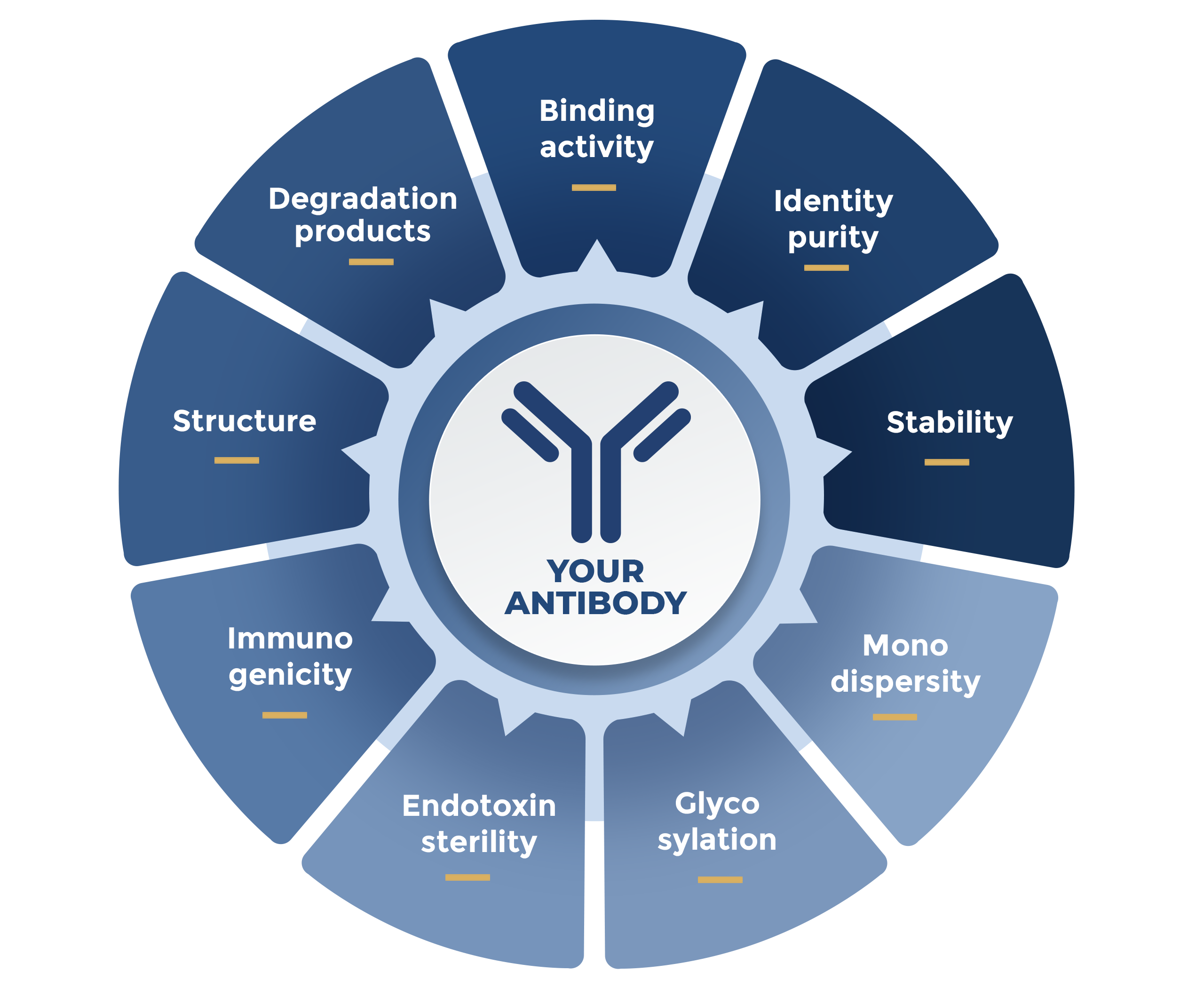 Antibody characterization chart