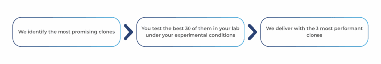 3 steps to obtain your antibodies