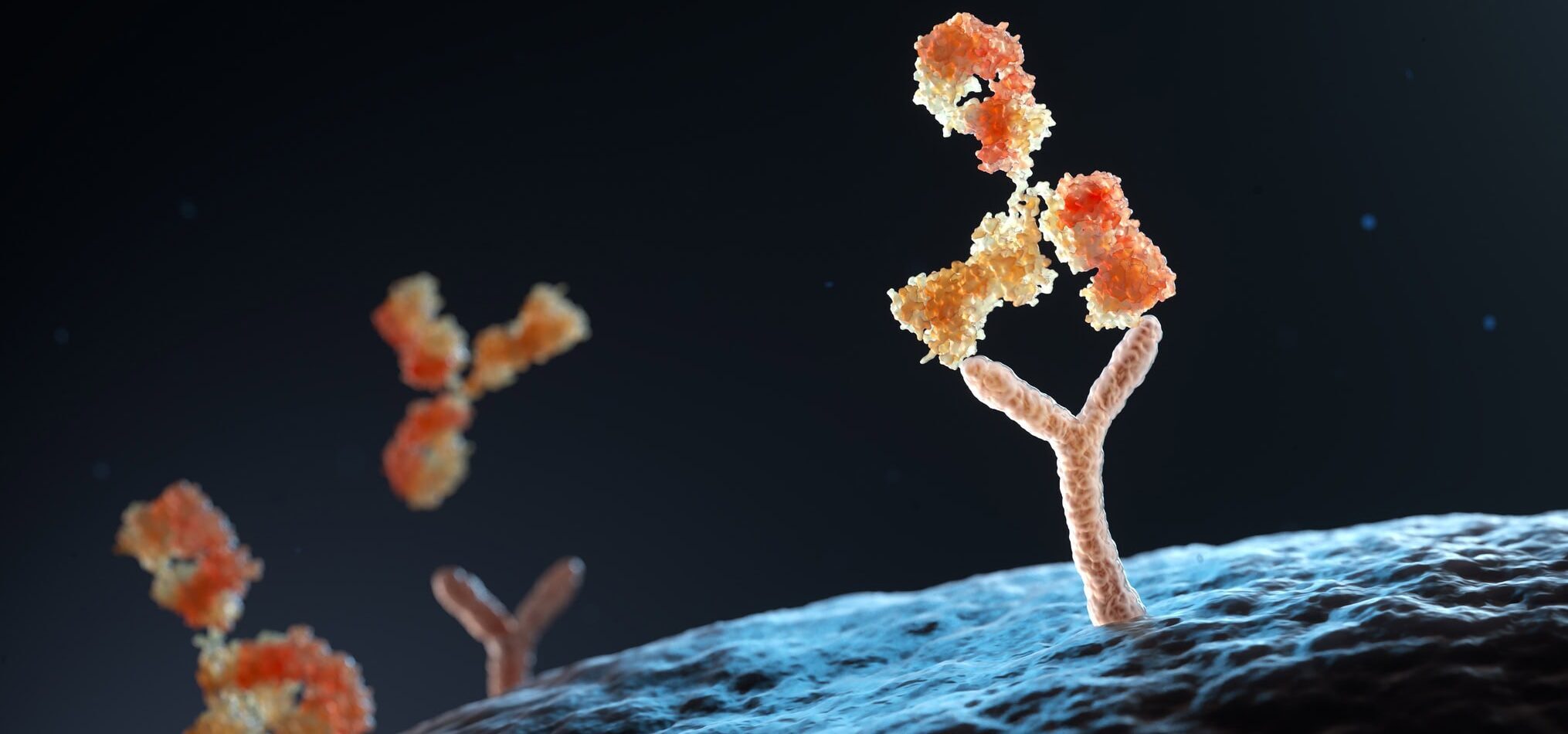 Boost Binding Performance with our AI-driven Affinity Maturation service