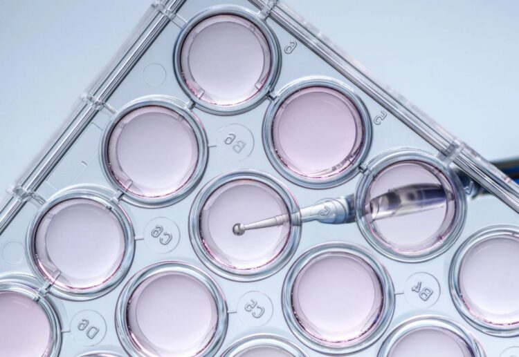 Ensure a Smooth Transition from Discovery to Preclinical
