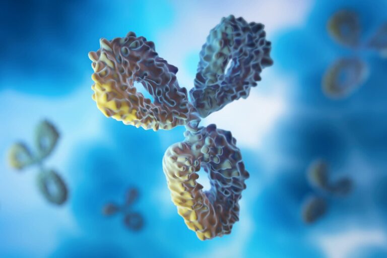 Bispecific-Antibody-services