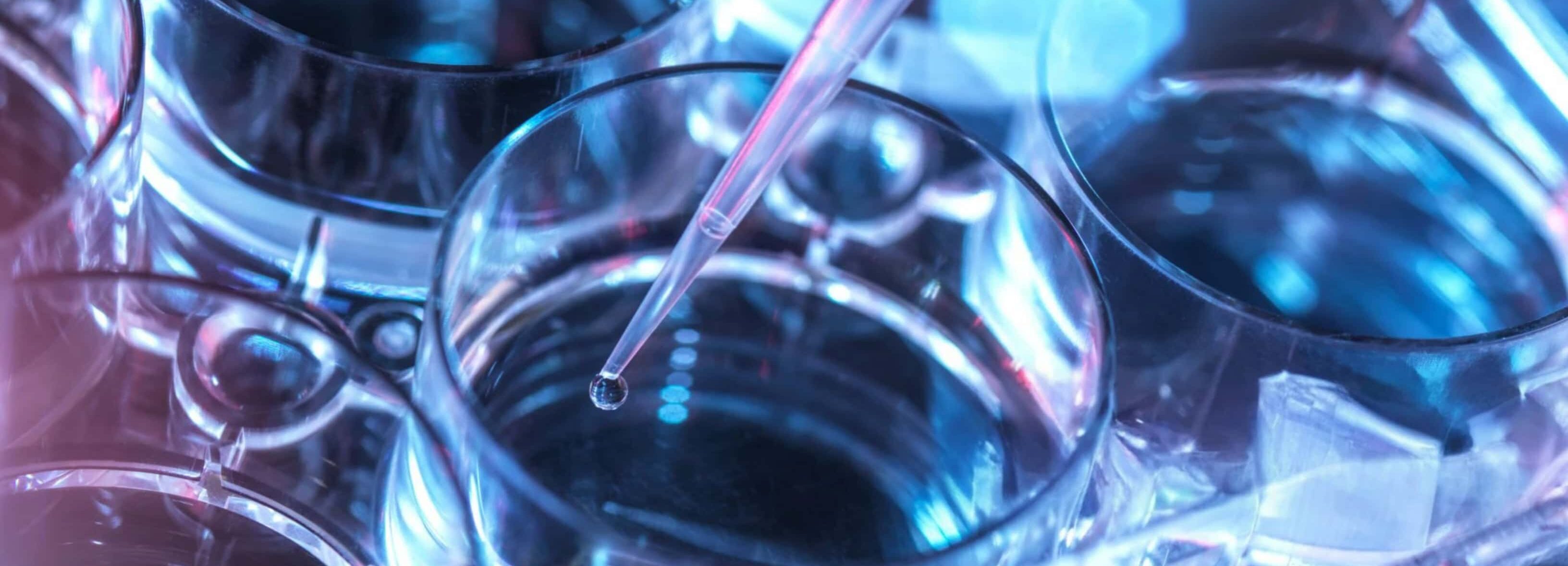 From target fully IP-free lead candidate in as little as 4 weeks