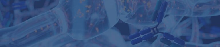 Customers success stories