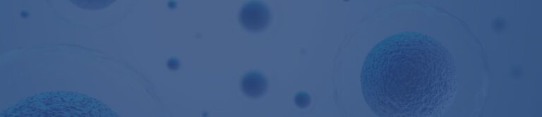 Customers success stories