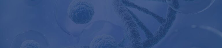 Customers success stories