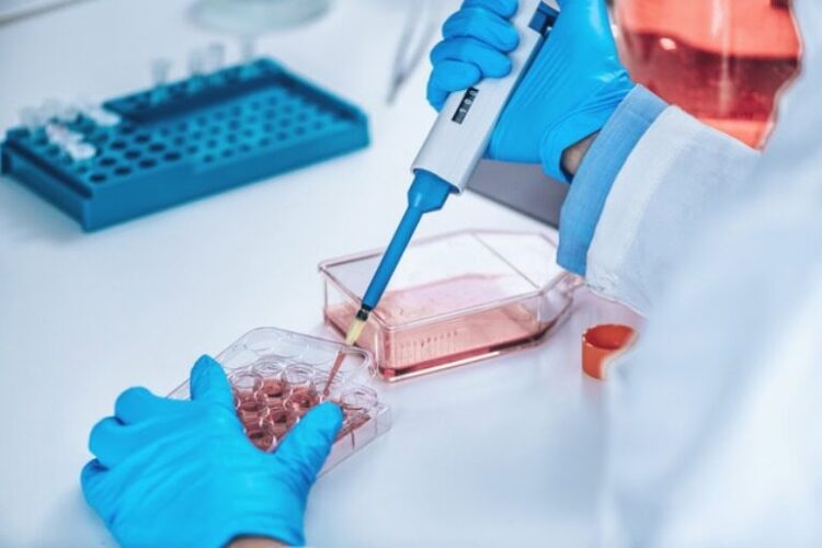 Protein Production Services
