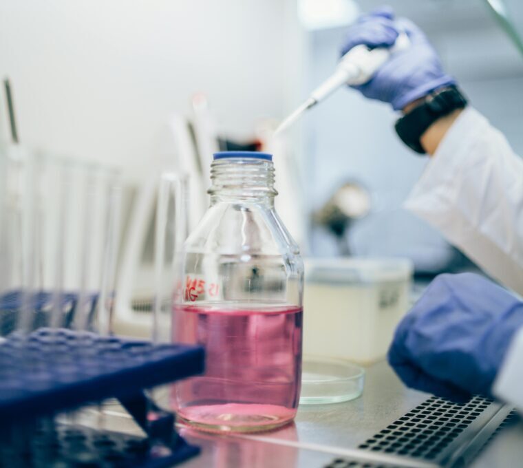 highly specific antibodies generated by hybridoma