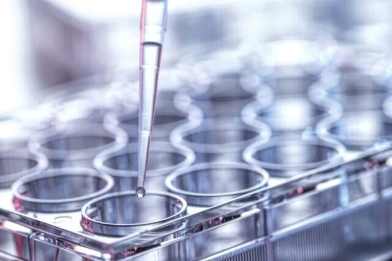 phage display human antibody discovery platform