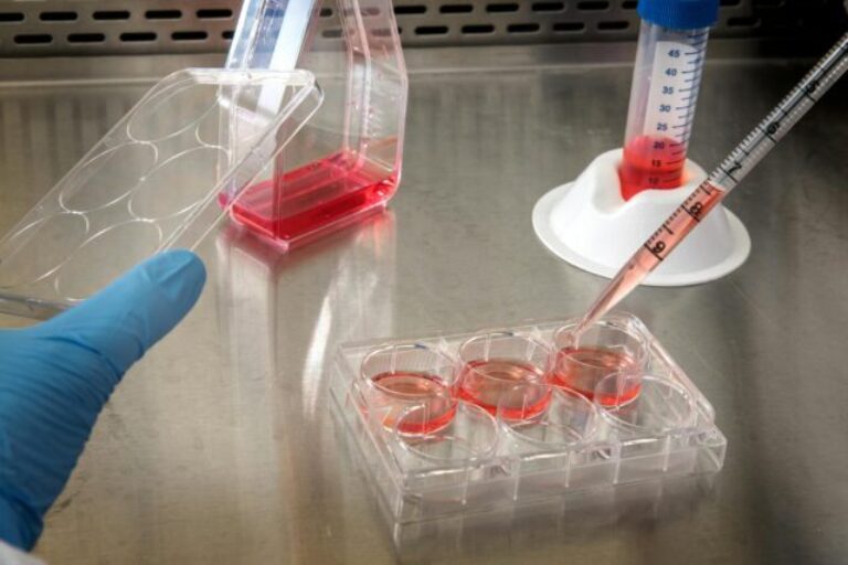 single b cell antibody discovery platform