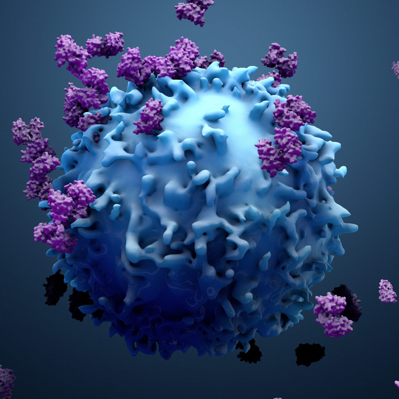 Cancer-antibodies