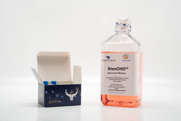 high-productivity mammalian recombinant expression Xtencho